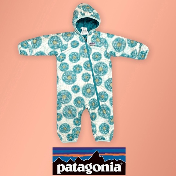 Patagonia Other - Patagonia Reversible Puff Ball Bunting 6 months